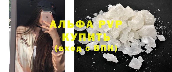 молекула духа Арсеньев