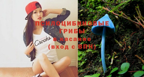 молекула духа Арсеньев
