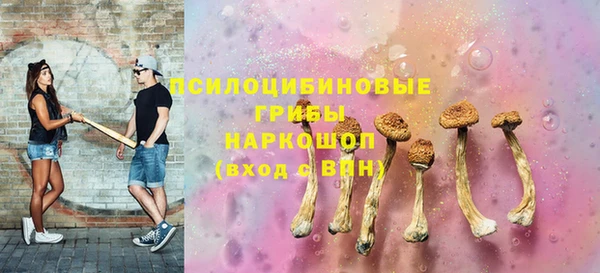 Альфа ПВП Армянск