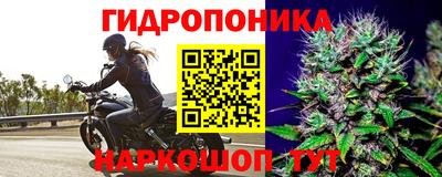 марки lsd Бийск