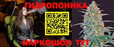 гашик Берёзовский