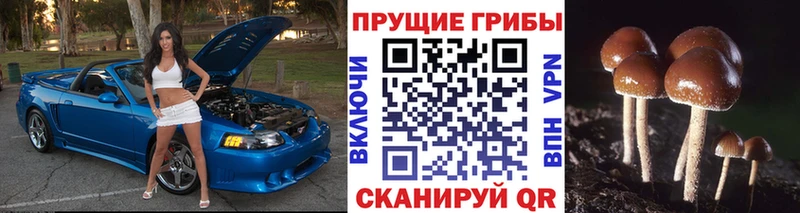 MEGA онион  закладка  Ахтубинск  Галлюциногенные грибы ЛСД 