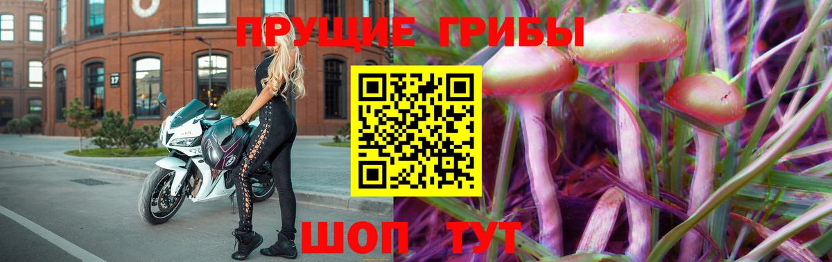 Ахтубинск  Псилоцибиновые грибы Psilocybine cubensis  Вход с VPN 
