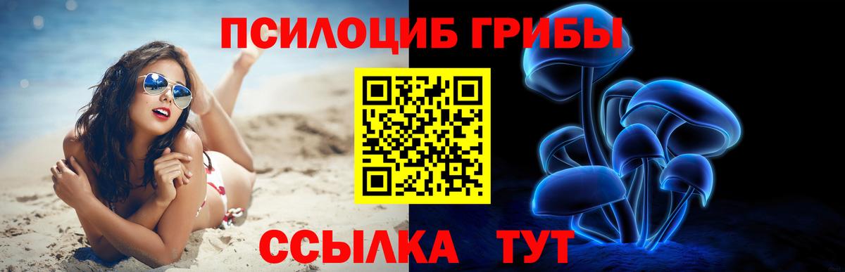 Псилоцибиновые грибы ЛСД Ахтубинск